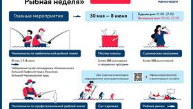 Что такое обещанный платеж на Волне в Швейный мир
