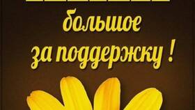 Что за услуга 