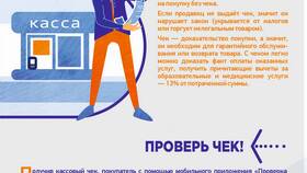 Что значит нарушен срок возврата по декларации в Швейный мир