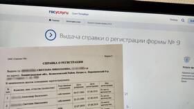 Как оформить справку через портал Госуслуги в Швейный мир