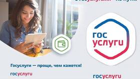 Как оформить услугу через Госуслуги в Швейный мир
