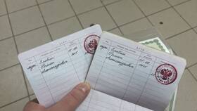Как подать заявление на получение паспорта ребенку в Швейный мир