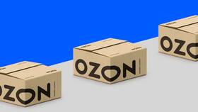 Как продавать крупногабаритные товары на Ozon в Швейный мир