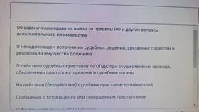 Как снять судебный запрет с автомобиля в Швейный мир