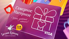 Как узнать баланс подарочной карты ДСН в Швейный мир