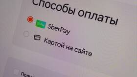 Как выбрать время доставки в Додо Пицца в Швейный мир