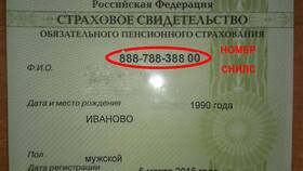 Как выглядит карточка СНИЛС в Швейный мир