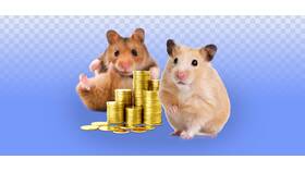 Как вывести средства Hamster Kombat на кошелек в Швейный мир