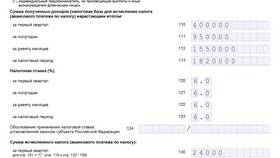 Как заполнить декларацию по системе 