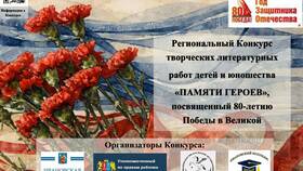 Публично-правовое образование как юридическое лицо: правовой статус и особенности в Швейный мир