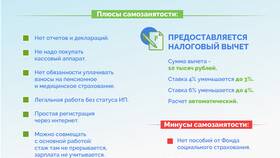 Самозанятость в 2025 году: плюсы, минусы и возможности в Швейный мир