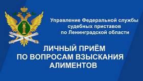 Взыскание судебных приставов: что это значит в Швейный мир