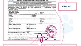 Зачем нужны документы РКФ в Швейный мир