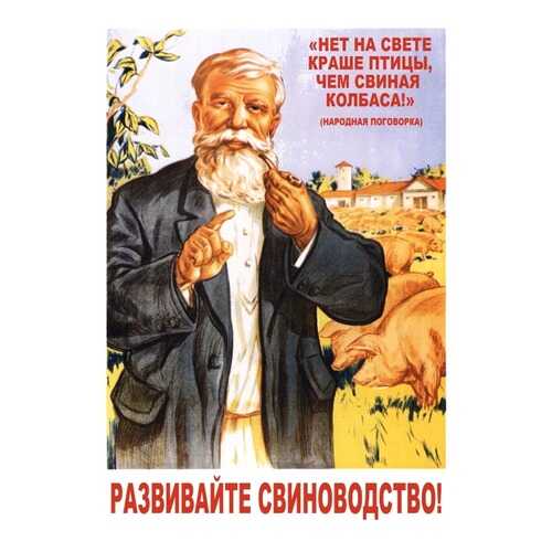Плакат СТ-Диалог Развивайте свиноводство!, СОВ-011, лам.бумага, 40х60 см в Швейный мир
