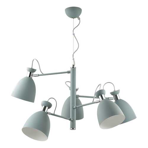 Люстра подвесная Lumion 3735/5 в Швейный мир